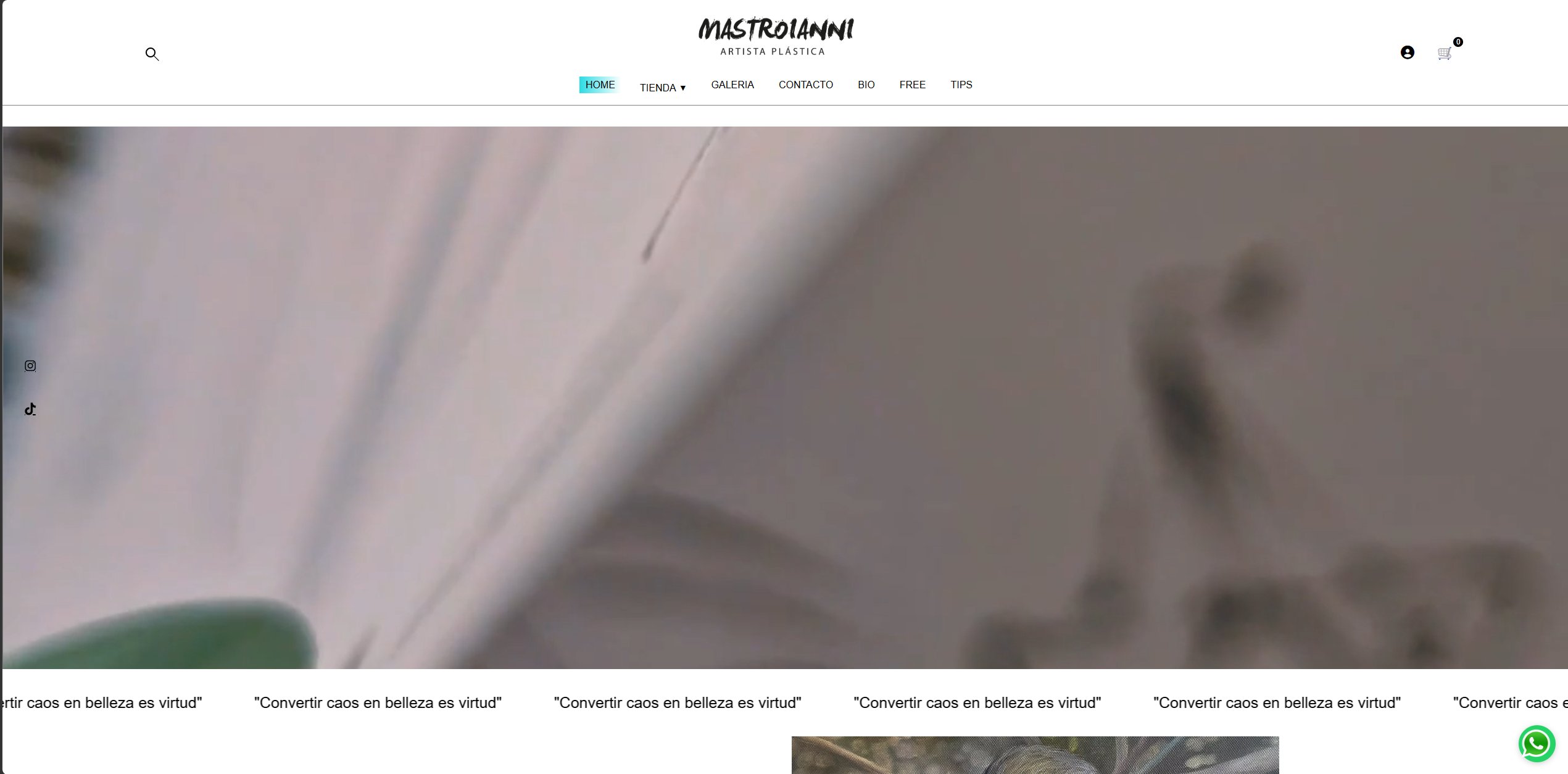 Preview gmastroianni.com